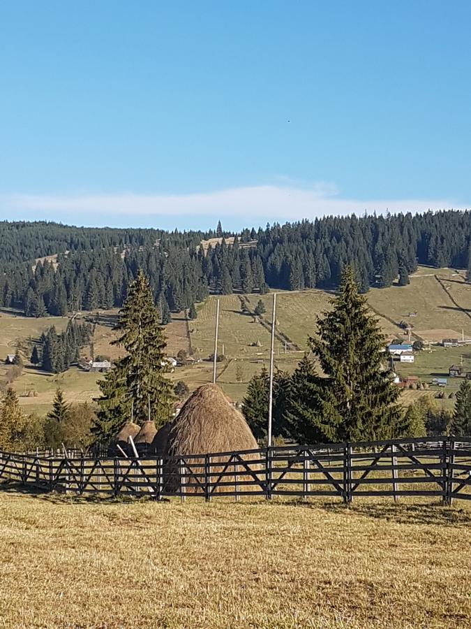 Casa De Oaspeti La Bilbor Exteriér fotografie