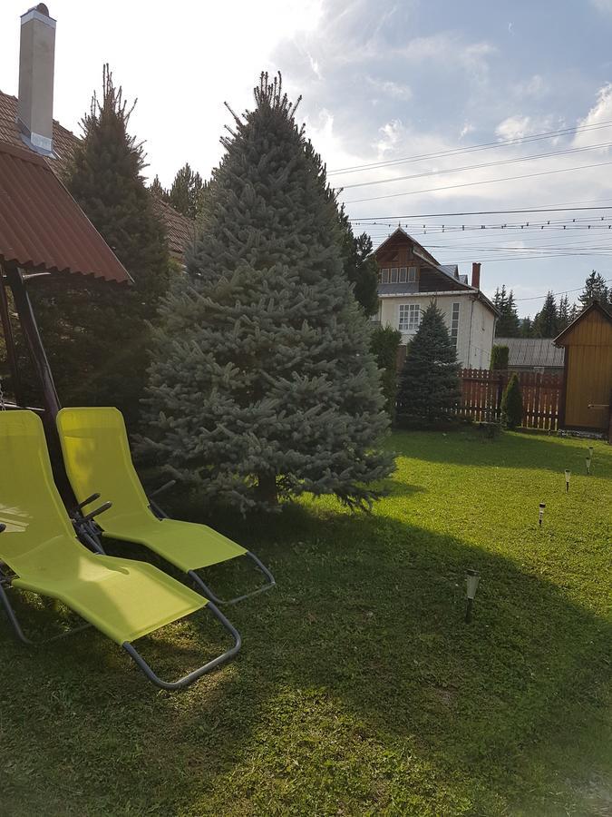 Casa De Oaspeti La Bilbor Exteriér fotografie